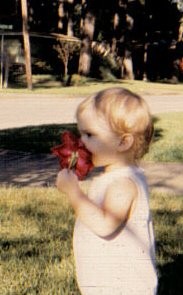 meflower.jpg